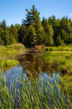 Kanada 'nın Quebec eyaletindeki güzel ve vahşi bir nehir.