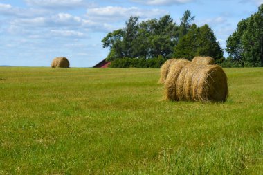 Büyük samanlıklarla dolu güzel bir tarla manzarası