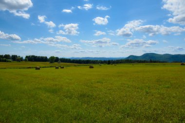 Yeşil çimenler ve mavi gökyüzü olan güzel bir manzara.