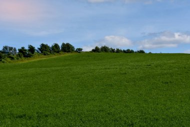 Doğanın arka planında mavi gökyüzü olan yeşil alan