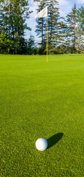 Golfbal Een Groene Grasveld Natuur Achtergrond — Stockfoto