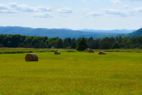 Prachtig Uitzicht Een Veld Met Grote Hooibergen — Stockfoto