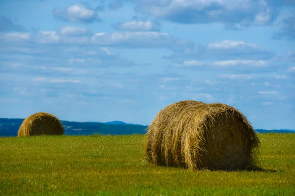 Hermosa Vista Campo Con Grandes Pajar — Foto de Stock