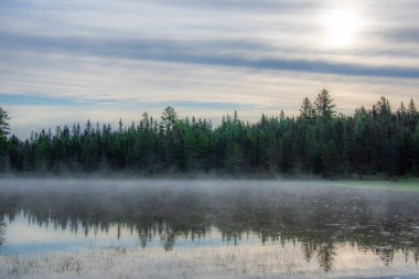 Quebec 'teki orman gölündeki güzel sis manzarası.