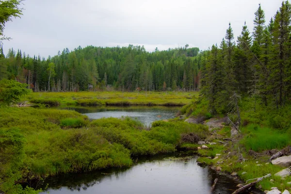 カナダのケベック州の美しく野生の湖 — ストック写真