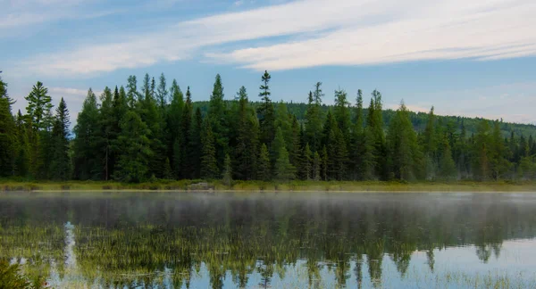 Quebec 'teki orman gölündeki güzel sis manzarası.