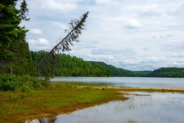 Beautiful Wild Lake Province Quebec Canada — Stock Photo, Image