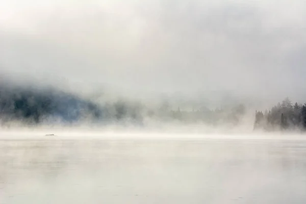 マスティグチェの素晴らしい湖の霧 野生動物保護区 — ストック写真