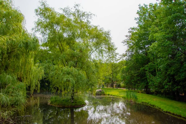 Otwarte Słoneczne Krajobrazy Ciszy Odzwierciedlają Staw Otoczony Spokojną Zacienioną Naturalną — Zdjęcie stockowe