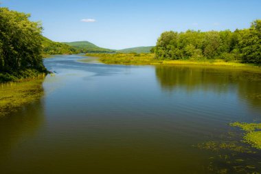 Ağaçlı ve havuzlu güzel sonbahar manzarası