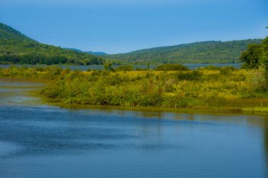 Ağaçlı ve havuzlu güzel sonbahar manzarası