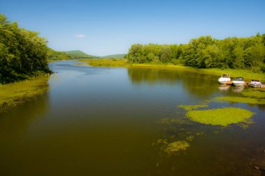 Ağaçlı ve havuzlu güzel sonbahar manzarası