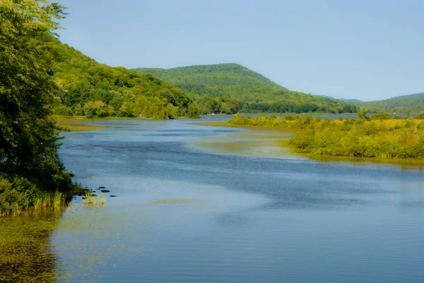 Ağaçlı ve havuzlu güzel sonbahar manzarası