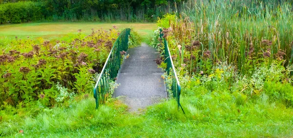 Bela Vista Parque Com Pequena Ponte — Fotografia de Stock