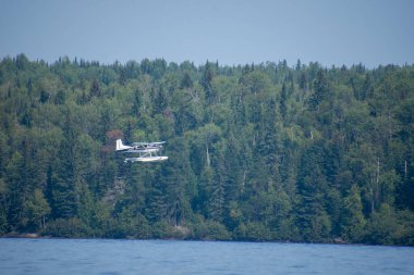Suya yakın uçan deniz uçağı, orman arka planı.