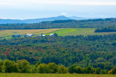 Güzel yeşil tarlaları ve ağaçları olan manzara.