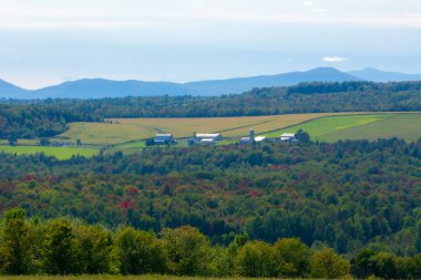 Güzel yeşil tarlaları ve ağaçları olan manzara.