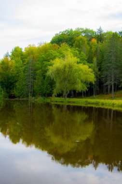 Ağaçlı ve havuzlu güzel sonbahar manzarası