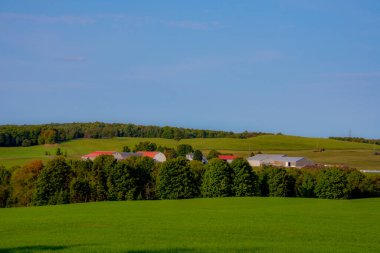 Güzel yeşil tarlaları ve ağaçları olan manzara.