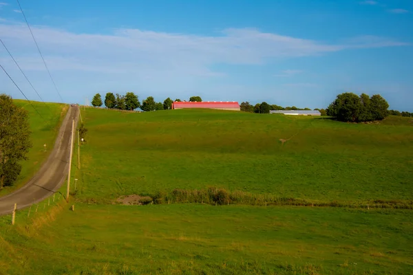 Landskap Med Vackra Gröna Fält Och Träd — Stockfoto