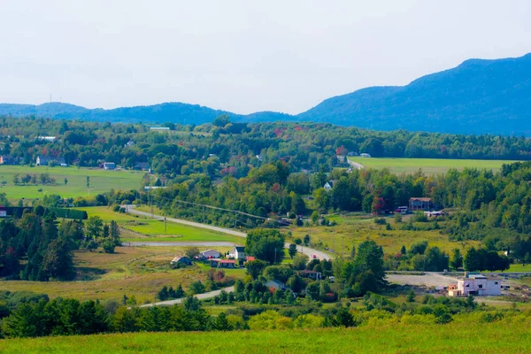 Güzel yeşil tarlaları ve ağaçları olan manzara.