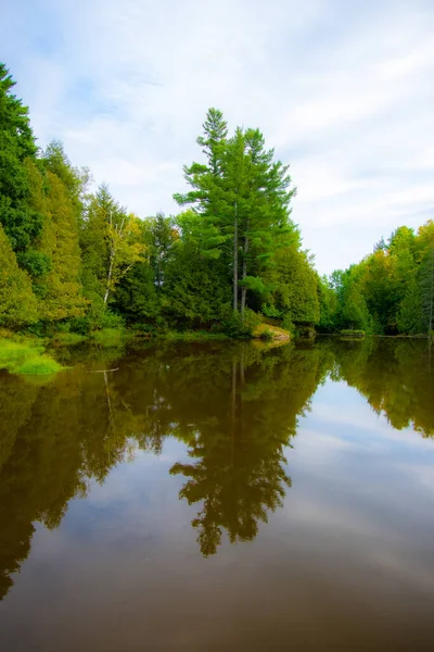 Ağaçlı ve havuzlu güzel sonbahar manzarası