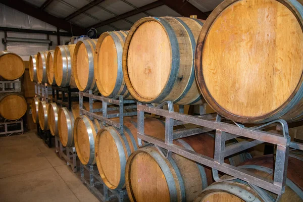 Wijnvaten Wijnkelder — Stockfoto