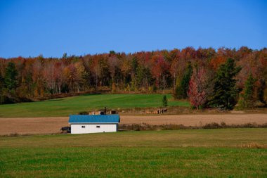 Quebec eyaletinin Kanada kırsalındaki bir çiftlikteki sonbahar renklerinin görüntüsü
