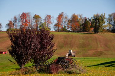 Terk Edilmiş Çiftlik Arabası ve Çalı Sonbaharda Rolling Hill Çiftliğinde