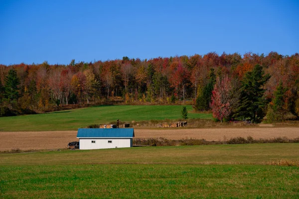 Quebec eyaletinin Kanada kırsalındaki bir çiftlikteki sonbahar renklerinin görüntüsü