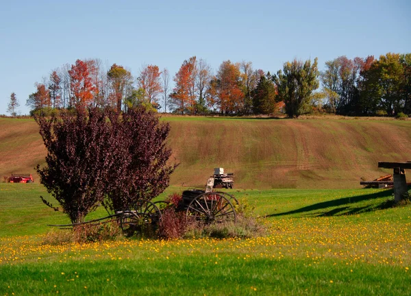Terk Edilmiş Çiftlik Arabası ve Çalı Sonbaharda Rolling Hill Çiftliğinde