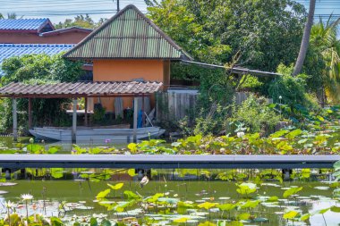Yeşil çatılı küçük bir ev ve nilüfer çiçeği havuzunda palmiye ağacı.