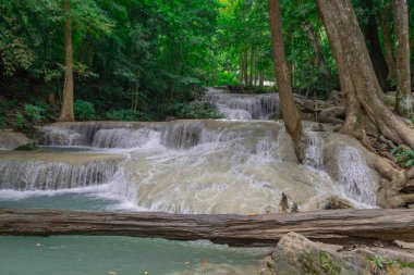 Kanchanaburi, Tayland 'daki Erawan Ulusal Parkı' nın muhteşem şelaleleri.