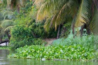 Bangkok, Tayland - 25 Ekim 2025: Bangkok banliyölerindeki Khlong Maha Sawat Kanalı