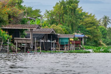 Bangkok, Tayland - 25 Ekim 2025: Bangkok banliyölerindeki Khlong Maha Sawat Kanalı
