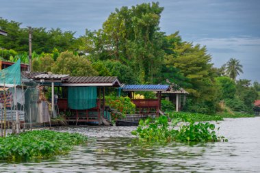Bangkok, Tayland - 25 Ekim 2025: Bangkok banliyölerindeki Khlong Maha Sawat Kanalı