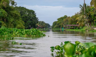 Bangkok, Tayland - 25 Ekim 2025: Bangkok banliyölerindeki Khlong Maha Sawat Kanalı