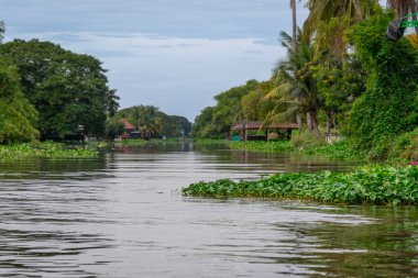 Bangkok, Tayland - 25 Ekim 2025: Bangkok banliyölerindeki Khlong Maha Sawat Kanalı