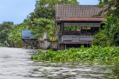 Bangkok, Tayland - 25 Ekim 2025: Bangkok banliyölerindeki Khlong Maha Sawat Kanalı