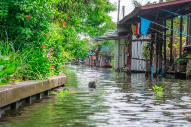 Bangkok, Tayland - 24 Ekim 2025: Bangkok, Tayland yakınlarındaki Damnoen Saduak Pazarı