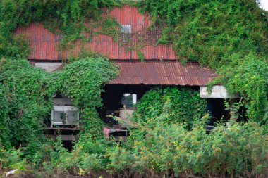 Kanchanaburi, Tayland - 29 Ekim 2025: Kanchanaburi, Tayland