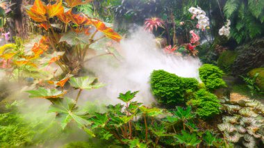 Tayland 'da restoranın avlusunda güzel bir bahçe