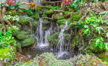 Tayland 'da restoranın avlusunda güzel bir bahçe