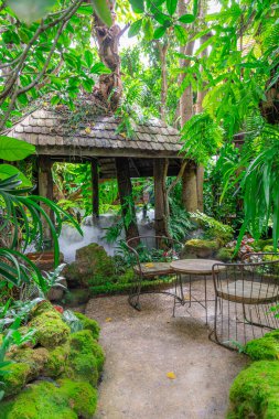 Tayland 'da restoranın avlusunda güzel bir bahçe
