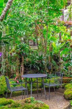 Tayland 'da restoranın avlusunda güzel bir bahçe