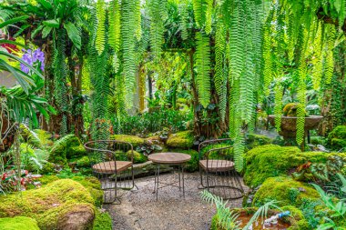 Tayland 'da restoranın avlusunda güzel bir bahçe