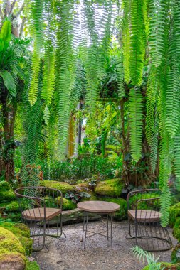 Tayland 'da restoranın avlusunda güzel bir bahçe