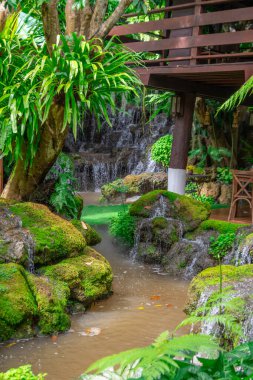 Tayland 'da restoranın avlusunda güzel bir bahçe