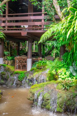 Tayland 'da restoranın avlusunda güzel bir bahçe