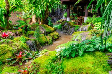 Tayland 'da restoranın avlusunda güzel bir bahçe